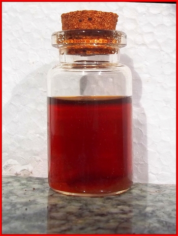 gingko extract tincture